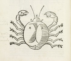 [Image for Rufius Festus Avienus]