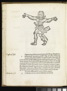 [Image for Rufius Festus Avienus]