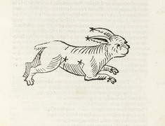 [Image for Rufius Festus Avienus]