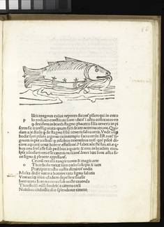 [Image for Rufius Festus Avienus]