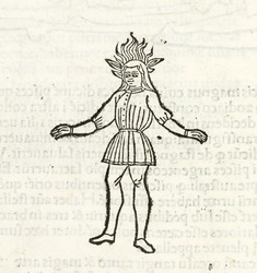 [Image for Rufius Festus Avienus]