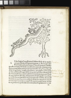 [Image for Rufius Festus Avienus]