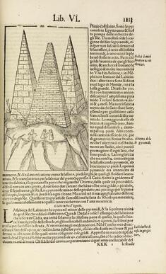 [Image for Sebastian Münster]