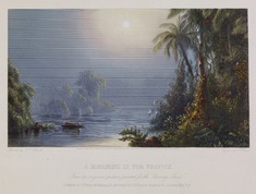 Image for Morning in the Tropics