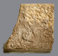 [Image for South Arabian]