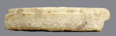 [Image for South Arabian]