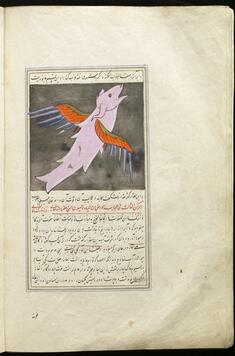 [Image for Muhammad ibn Mahmud Tusi]