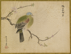 Image for Peach Blossom and Dove