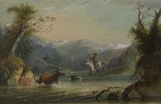 Image for Hunting the Elk
