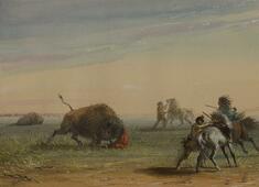 Image for Buffalo Turning on His Pursuers