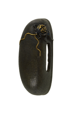 Image for Kashira with a Cricket