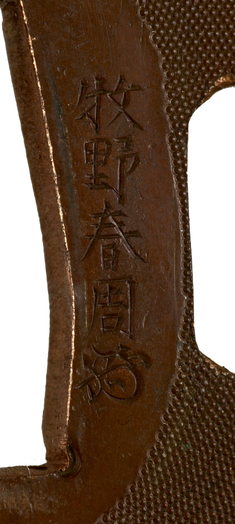 [Image for Makino Haruchika]