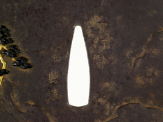 [Image for Sasayama Tokuoki]