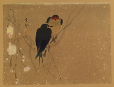 Image for Swallows on a Weeping Cherry Tree