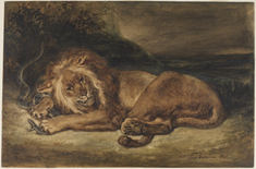 Image for Lion and Snake