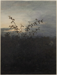 Image for Wild Rose Bush in front of a Nocturnal Landscape