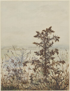 Image for Thistle in front of a Winter Landscape