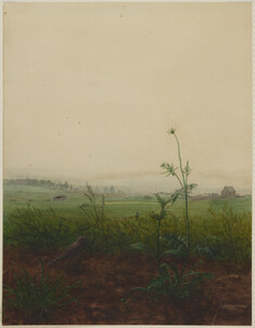 Image for Blackbird and Scabious in front of a Landscape