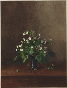 Image for Bouquet of Campions or Hardy Geraniums