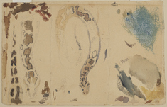 Image for Studies of a Snake's Skin