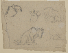 Image for Sketches of a Lion