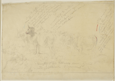 Image for Tracing of Five Bulls with Annotations