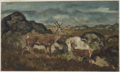 Image for Stag and Doe