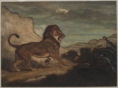 Image for Lion and Python