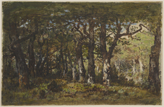 Image for Edge of the Forest