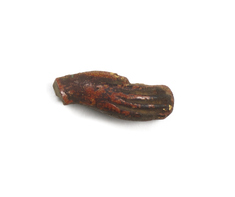 Image for Inlay Fragment of a Hand