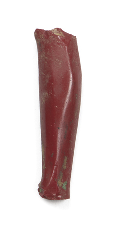 Image for Inlay Fragment of a Leg