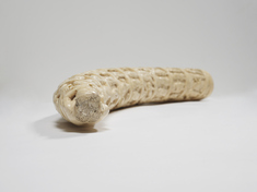 [Image for Congolese]