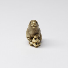 Image for Rabbit with Loquats