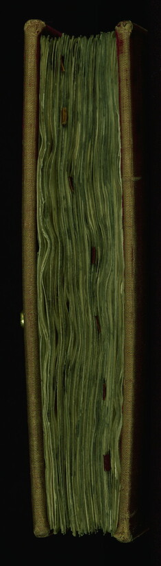 [Image for Saint Augustine, Bishop of Hippo]