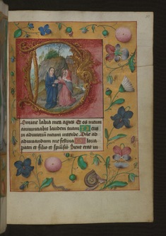 Image for Leaf from Aussem Book of Hours: Hours of the Virgin, Visitation with Flowers and Insects in Margins