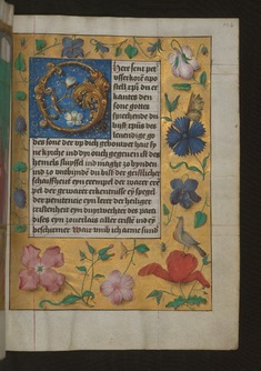 Image for Leaf from Aussem Hours: Prayer to Saint Peter, Foliate Initial "O" with Marginal Flowers and Insects