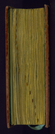 [Image for Léon Gruel]