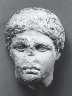 Head of a Youth