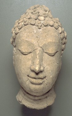 Head of the Buddha