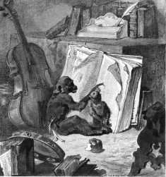Two Monkeys with Books, Viola, and Tambourine