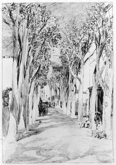 Les Platanes en Hiver, Route de Nice