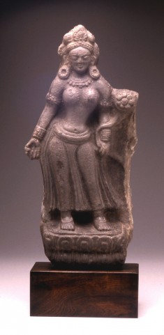 Lakshmi