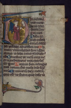 Initial D with Pilgrim Below the Face of God; Hybrid Animal in Margins