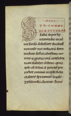 Unfinished decorated initial S
