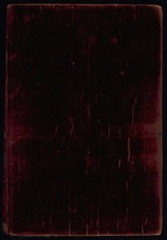 The Conradin Bible