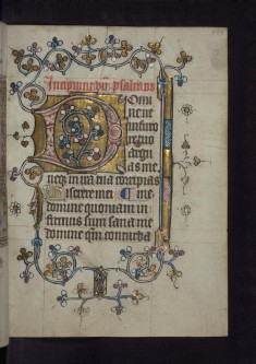 Initial D with Floral Decoration