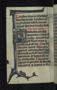 Initial C with Noli me tangere