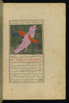 A Large, Winged Fish