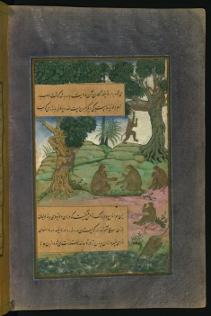 Animals and Birds of of Hindustan: MonkeysThat Can Be Taught to Do Tricks, from the Baburnama (Book of Babur)