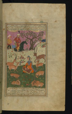 Bahram Gur Recognizes Dilaram